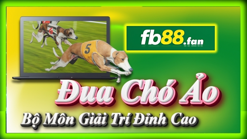fb88 - nhà cái thể thao ảo - Đua chó ảo FB88 bộ môn giải trí đỉnh cao, kết quả nhanh chóng